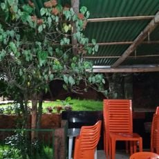 Arena da Coruja