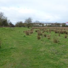 Duston Mill Meadow