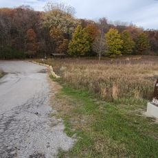 Ryersons Woods