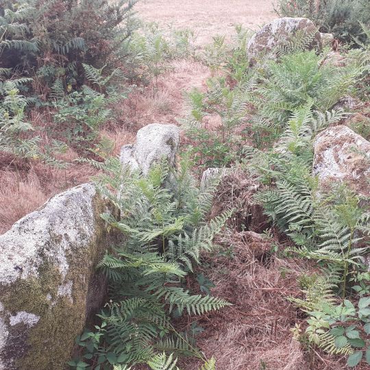 Allée couverte de Saint-Nizon