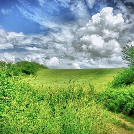 Parco dell'Inviolata