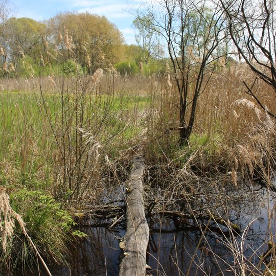 Naturschutzgebiet 'Weichser Moos'