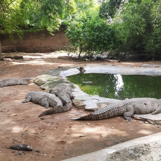 Gandhi Zoological Park