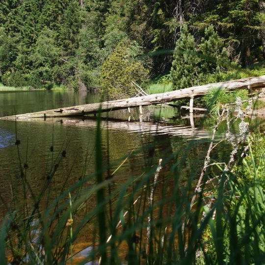 Wilder See - Hornisgrinde