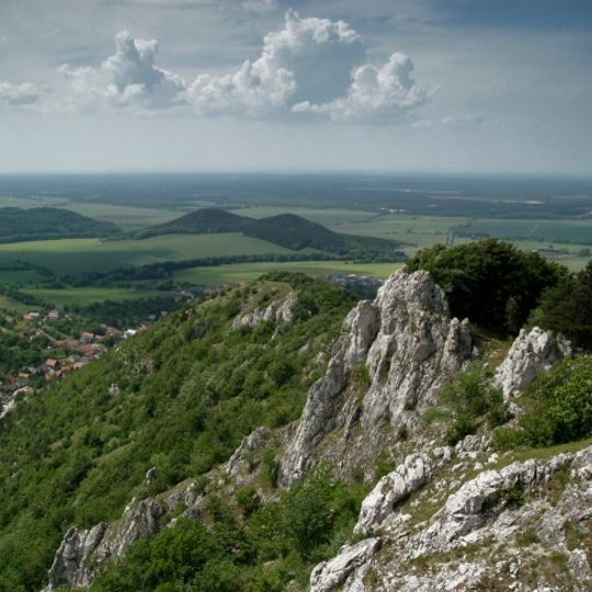 Podmalokarpatská zníženina