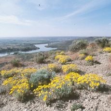 Snake-Columbia shrub steppe