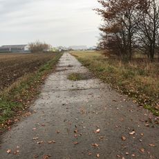 RAF Witchford Collection