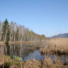 Moore südlich des Chiemsees