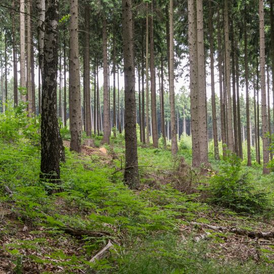 Wald nördlich Bad Salzuflen