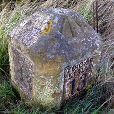 Milestone At Ngr Ny58130 62460