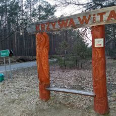 Krzywa wita