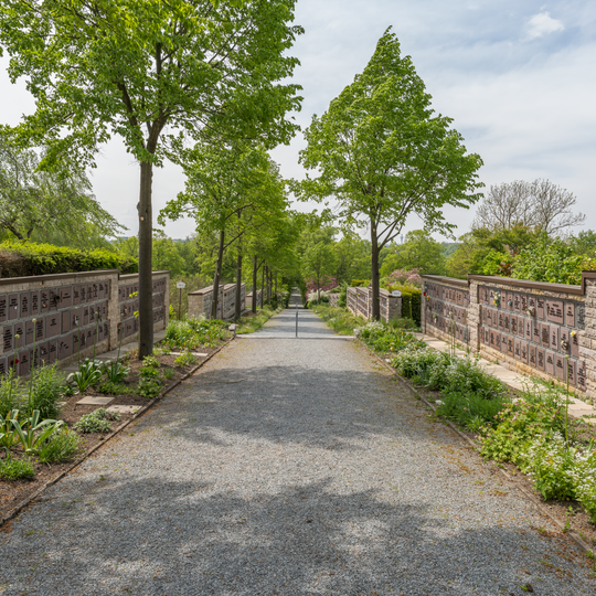 Friedhof