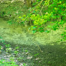 Ottnangien von Wolfsegg