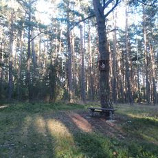 Obrázek se svatým Petrem u Trnové