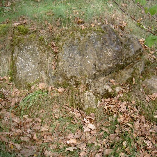 Serpentinstandorte in der nördlichen Oberpfalz