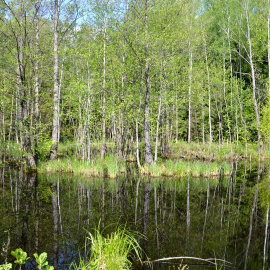 Laučynė Landscape Sanctuary