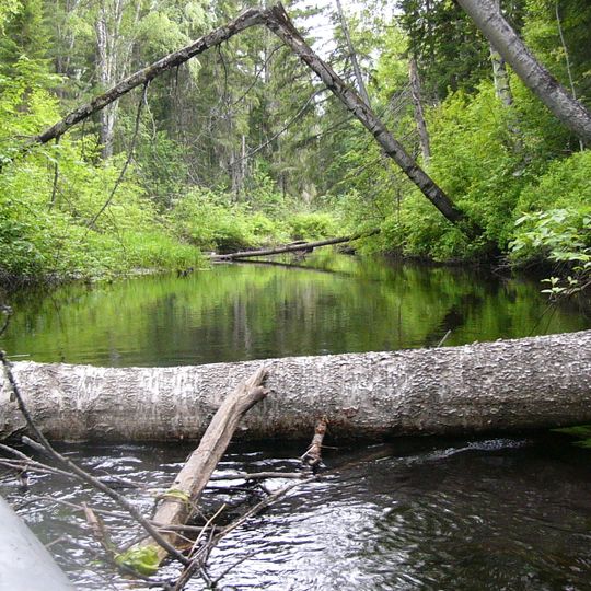 Krivošeinskij rajon
