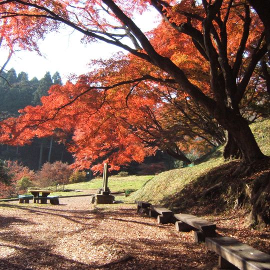 Préfecture de Tochigi
