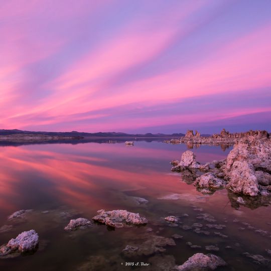 Mono Lake Volcanic Field