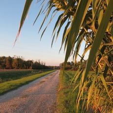 Oasi naturalistica A.R.E. vasche ex zuccherificio