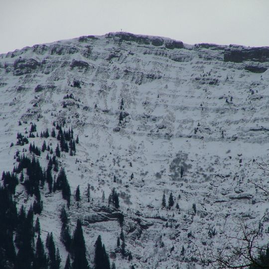 Nagelfluhrippen am Hochgrat bei Balderschwang