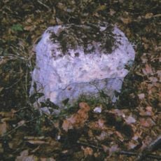 Milestone, Faversham Road, in woodland W of Monkery Farm