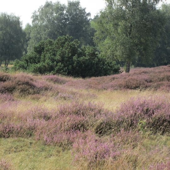 Pestruper Gräberfeld und Rosengarten