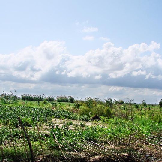 Shahrestān di Juybar