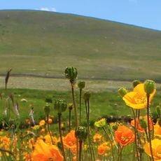 Parque nacional de Deosai