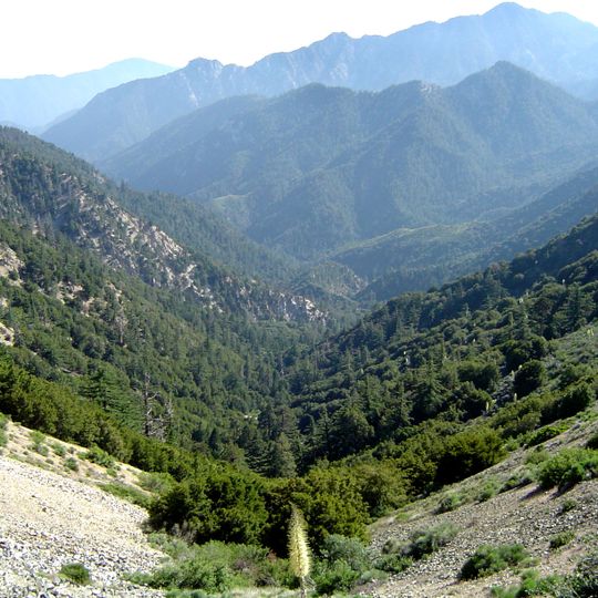 Angeles National Forest