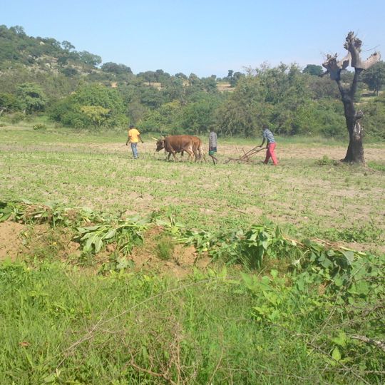 Buhera District
