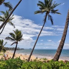 Charley Young Beach