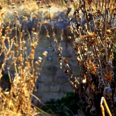 Molí de Sant Pere dels Arquells