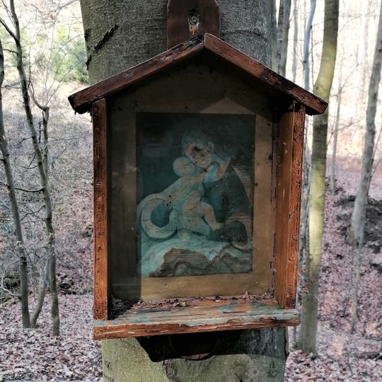 Bildbaum Heidlgraben