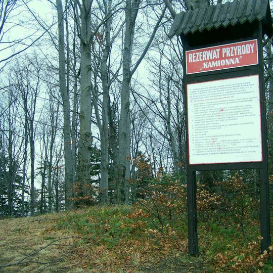 Rezerwat przyrody Kamionna