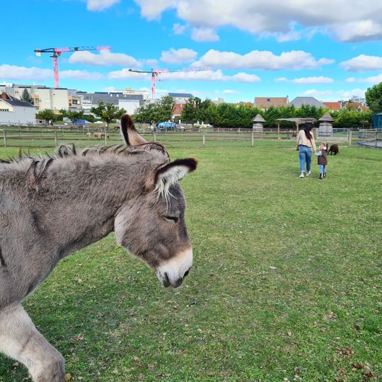 Fermes de Gally - Ferme pédagogique