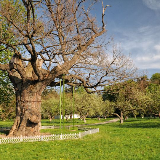 Distretto di Zvenyhorodka