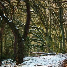 Nature reserve Złota Góra