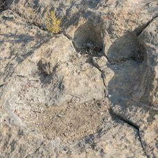 Archaeological Site of Navillas