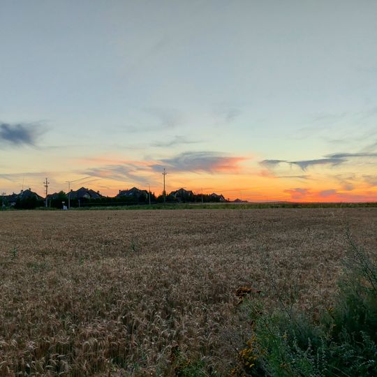 Gruszczyn, Greater Poland Voivodeship