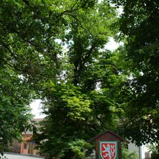 Alej na břehu Rakovnického potoka