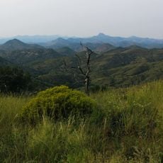 Pajarita Wilderness