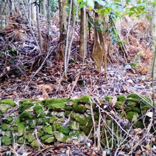 Castro da Croa de Fontá