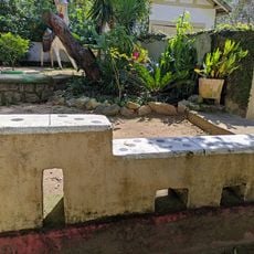 Banco da Praça dos Bichinhos V