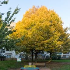 Square Vercingétorix