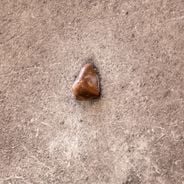 Geheimes London: Wir nehmen Sie mit zu den unbekannten Orten der britischen Hauptstadt