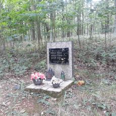 Památník obětí nehody severně od Lhotky
