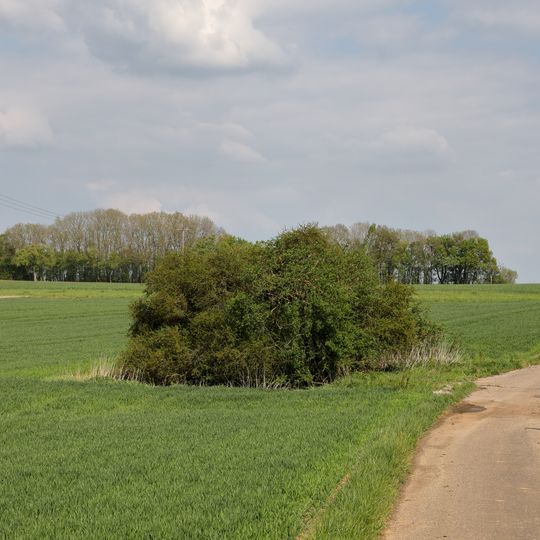 Doline Niederstetter Feld