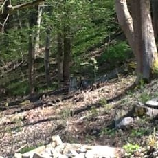 Standseilbahn Kyselka