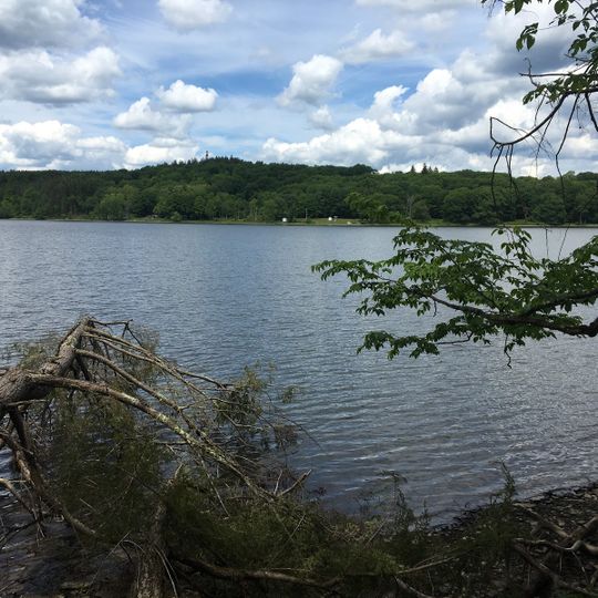 Lake Myosotis Swimming Area